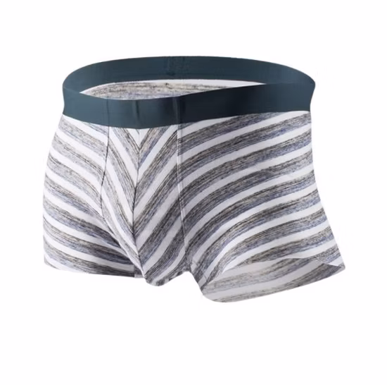 Hot Selling Comfy OEM Service Shorts New Style Casual Sporting Underwear Custom Accetable Breathable Men′s Boxer Briefs