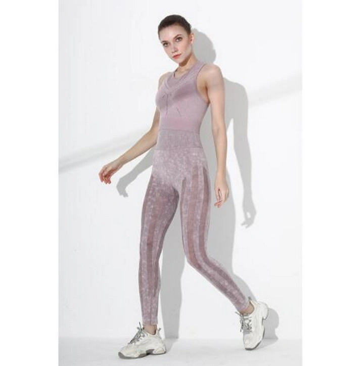 Women&prime;s Sport Bra High-Waisted Hip-Lifting Tights Pant Seamless Yoga Suit Set